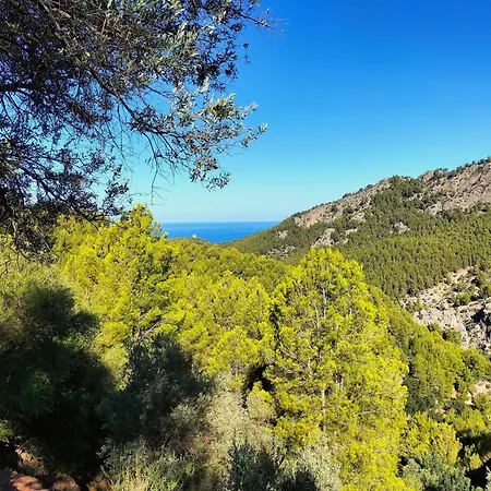 Villa Soller Es Coco La Figuera