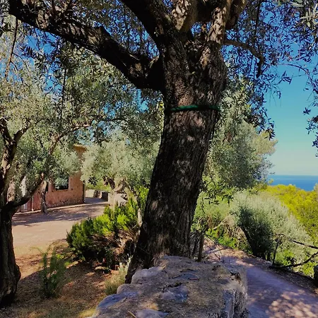 Villa Soller Es Coco La Figuera