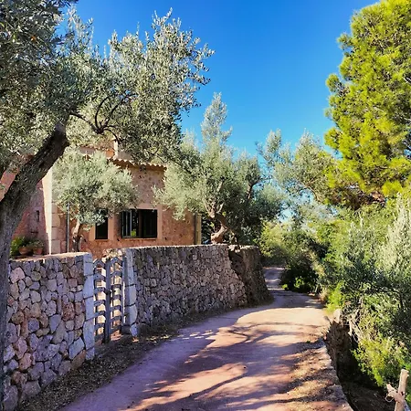 Soller Es Coco * La Figuera