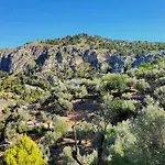 Soller Es Coco Villa