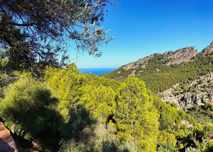 Villa Sóller Es Cocó La Figuera